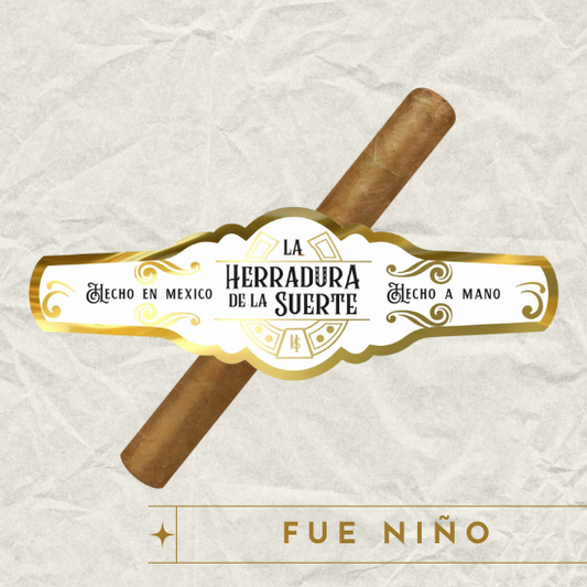 HERRADURA FUE NIÑO